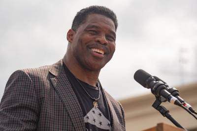 Here Comes Herschel