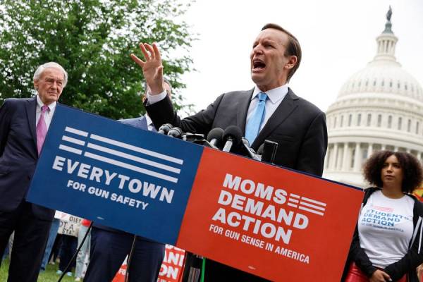 Mass Shootings Reignite Gun Control Debate in Washington