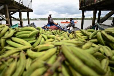 Going Bananas in the Age of Anxiety