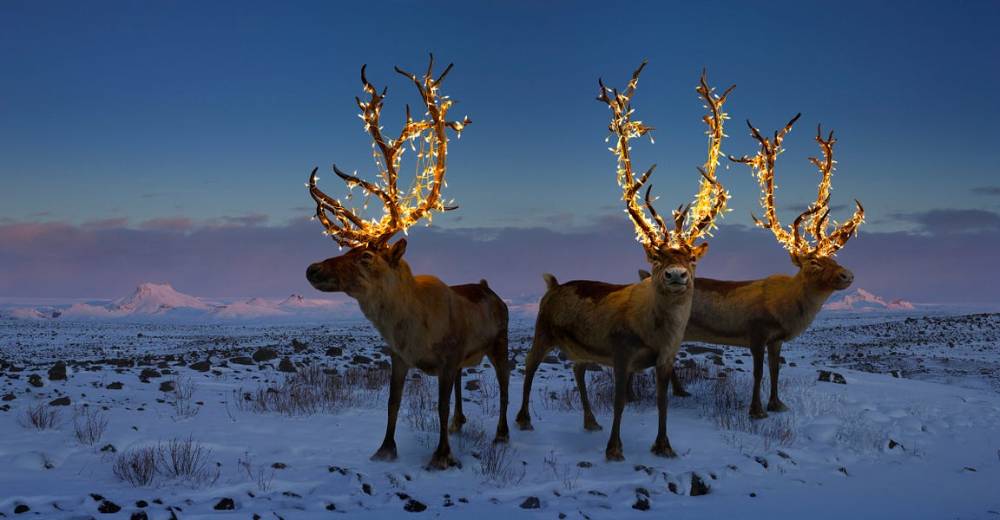 The Morning Dispatch: Our Favorite Holiday Traditions