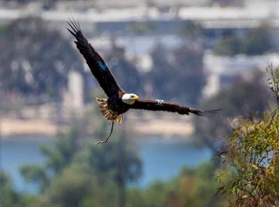 Economic Freedom Is Great for the Planet