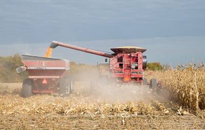 Examining America’s Farm Subsidy Problem
