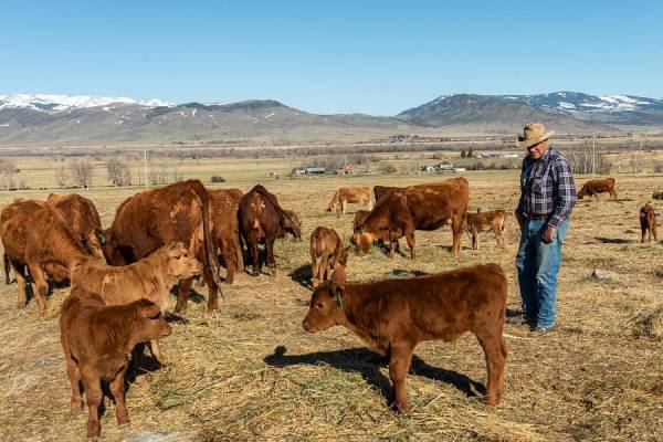 Featured image for post: The Pandemic Exposed Deep Problems in the Meat Industry