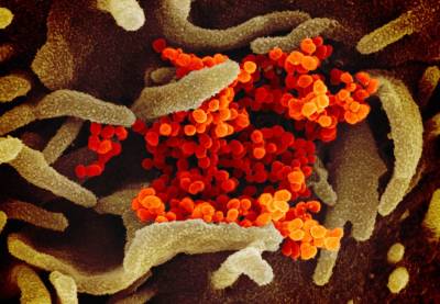A Doctor Explains How Coronavirus Therapies Work and What They Do