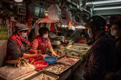 The Intellectual Wet Market