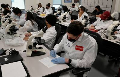 Plan to Grant More Green Cards to STEM Graduates Resurfaces