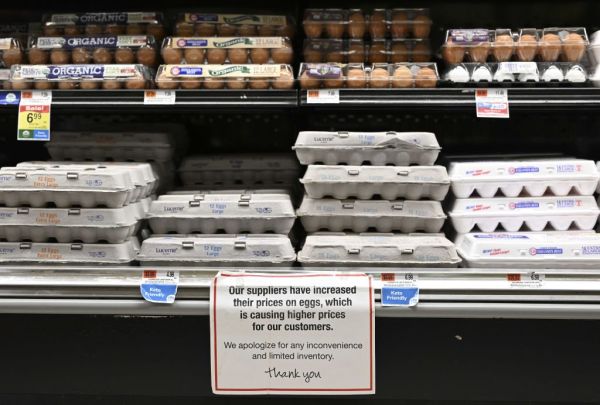 Featured image for post: Why Are Eggs So Expensive?