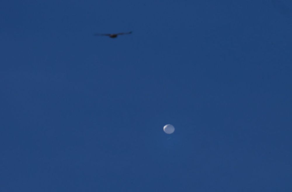 Chinese spy balloon flying above Charlotte