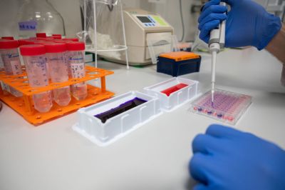 Investigations on coronavirus at the Charité Berlin