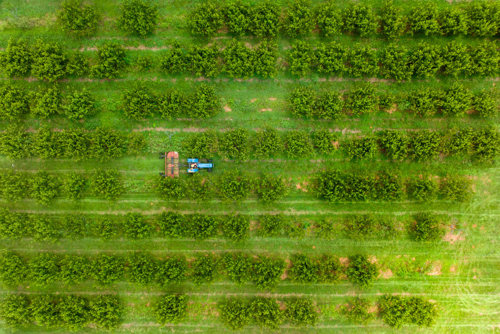 US-SCIENCE-CLIMATE-AGRICULTURE-ECONOMY-CROPS