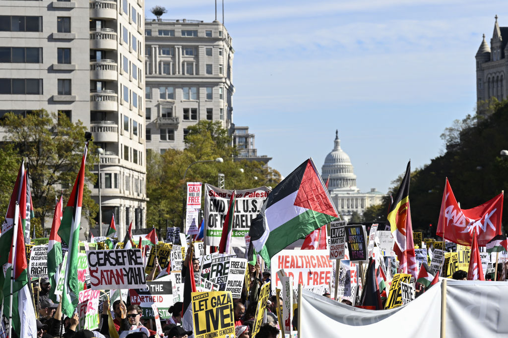 Pro-Palestinian rally in Washington DC