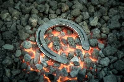 horseshoe