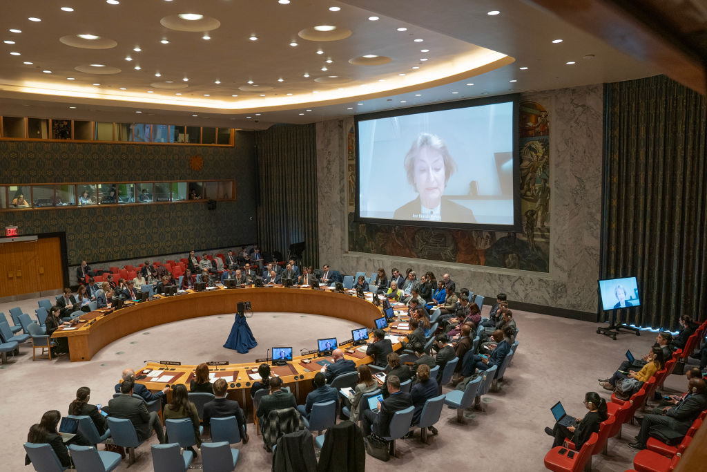 Ilze Brands Kehris, Assistant Secretary-General for Human