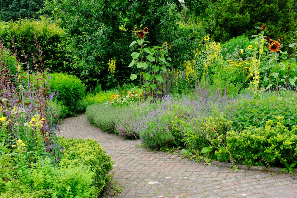 English Flowerbeds