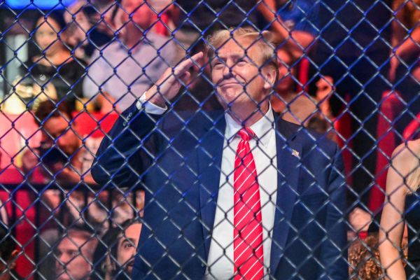 Featured image for post: Donald Trump Fights?