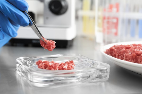 Featured image for post: No, You Didn’t Accidentally Buy Lab-Grown Meat at the Grocery Store