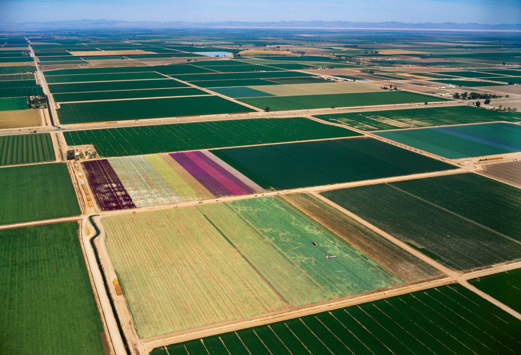 Agriculture