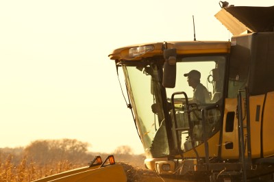 Farmer in Combine Cab, Harvesting Corn