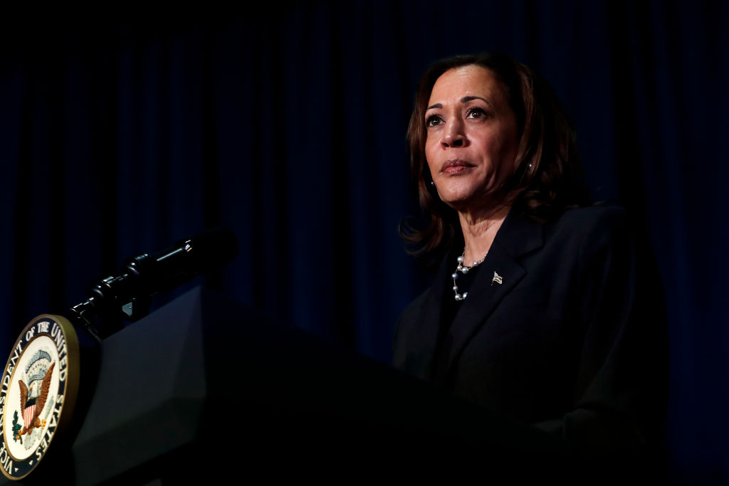 Vice President Kamala Harris attends a moderated conversation with former Trump administration national security official Olivia Troye and former Republican voter Amanda Stratton on July 17, 2024, in Kalamazoo, Michigan. (Photo by Chris duMond/Getty Images)