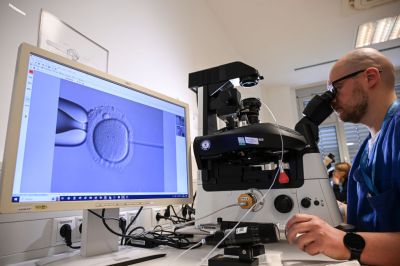 Artificial insemination