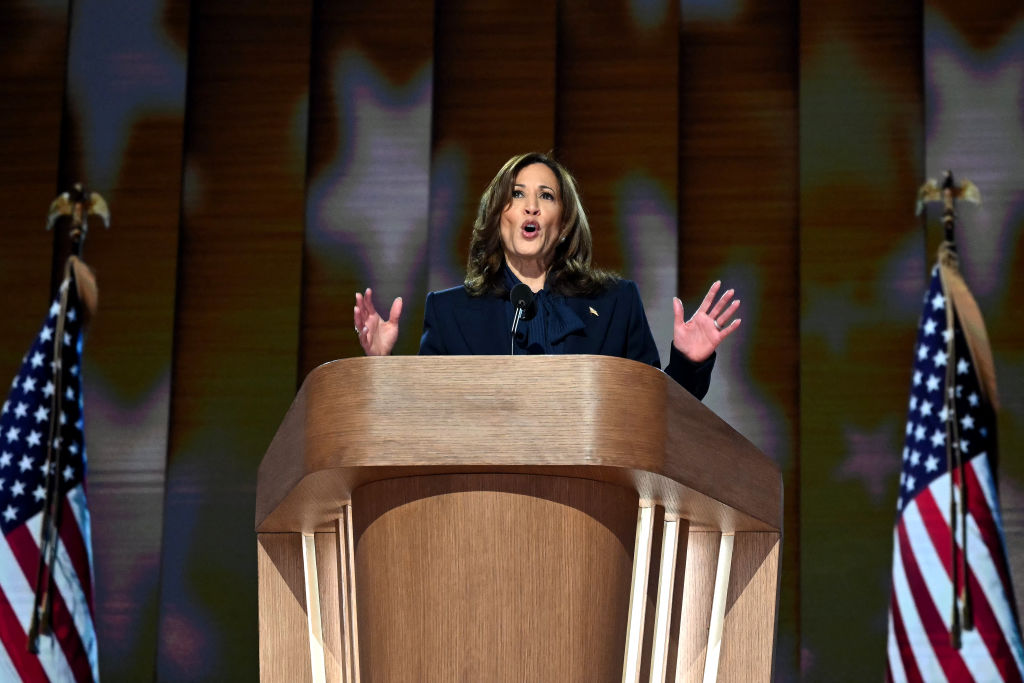 Vice President Kamala Harris speaks on the fourth and final day of the Democratic National Convention at the United Center in Chicago on August 22, 2024. (Photo by ANDREW CABALLERO-REYNOLDS/AFP via Getty Images)