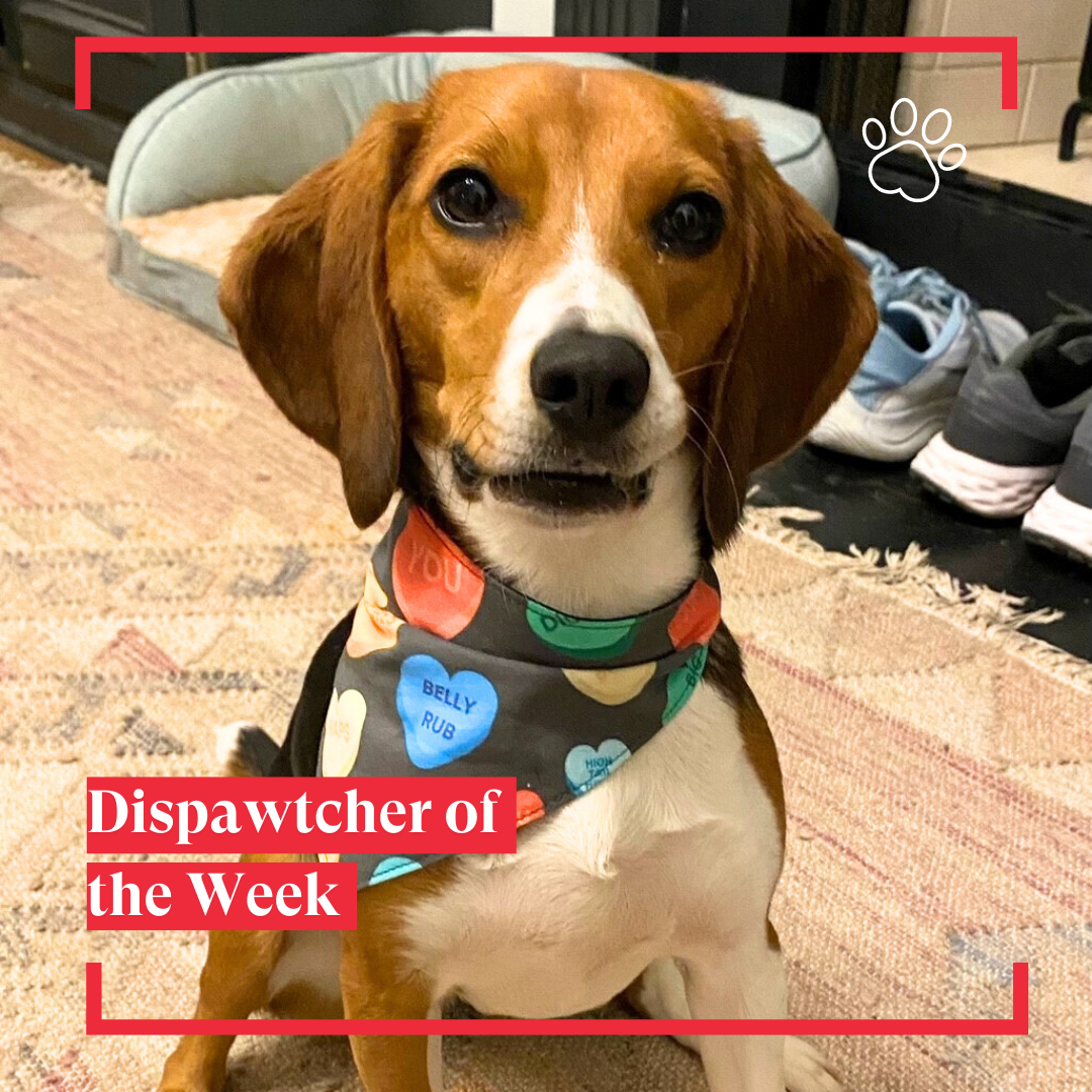 Dispawtch