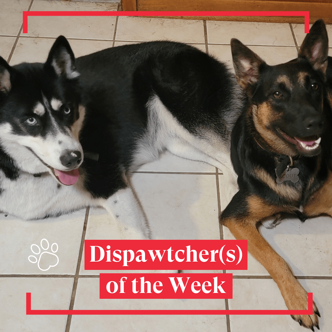 Copy of Dispawtch of the Week (5)