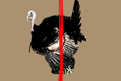 Turkey