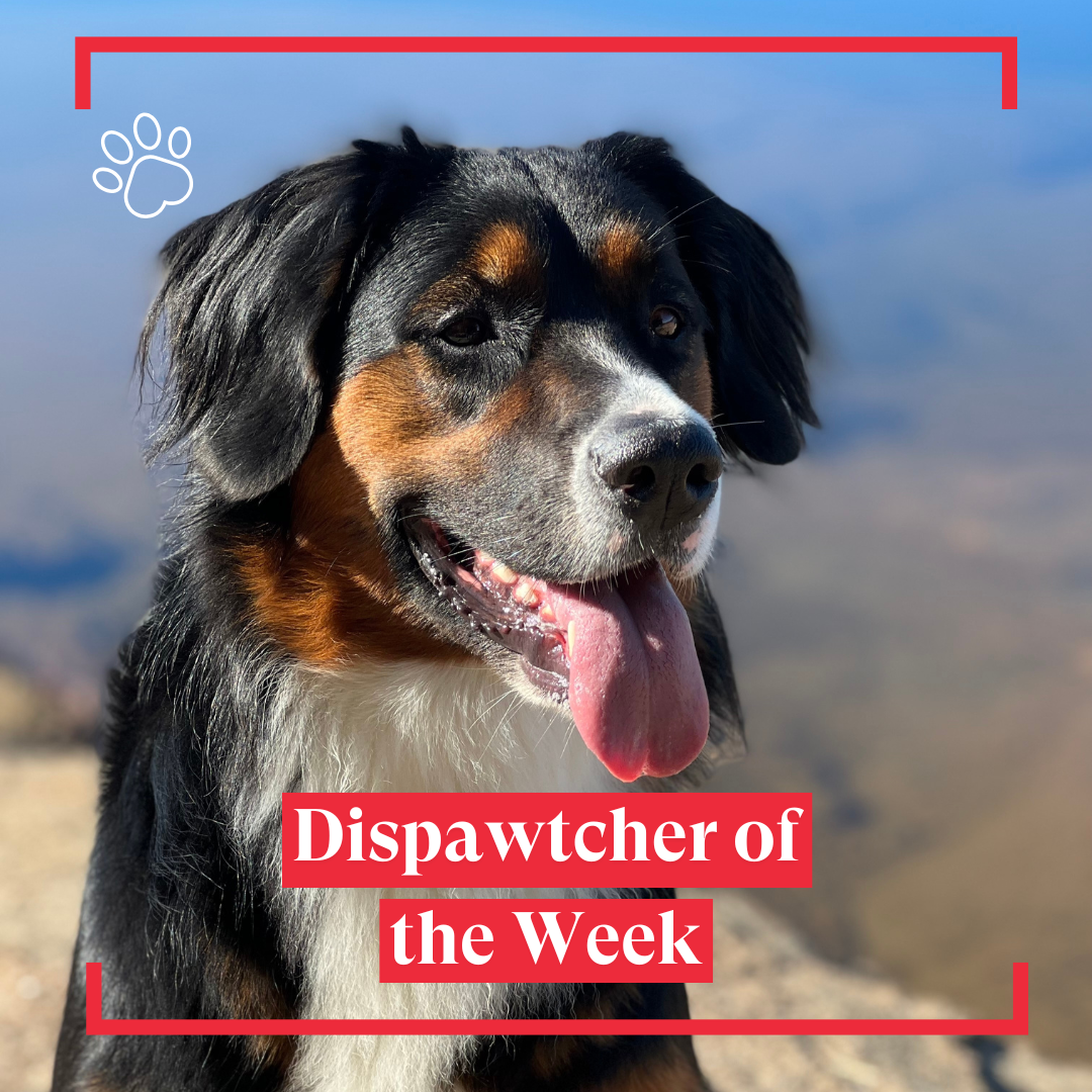Dispawtcher_8d44eb