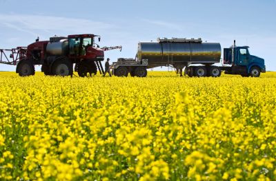 Agriculture
