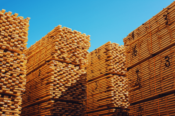 Photo of a lumber yard by Shaun L via Getty Images Signature.