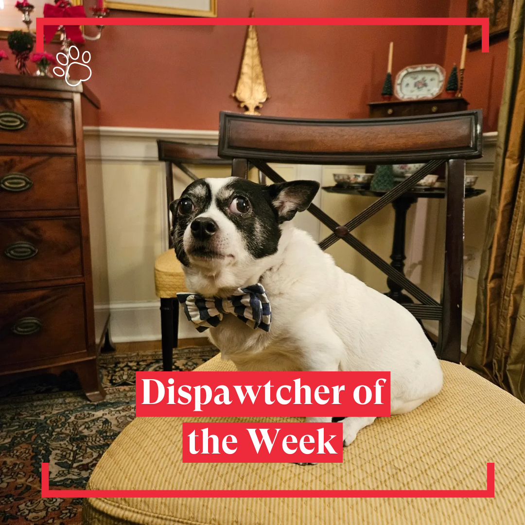 Copy of Dispawtch of the Week (17)