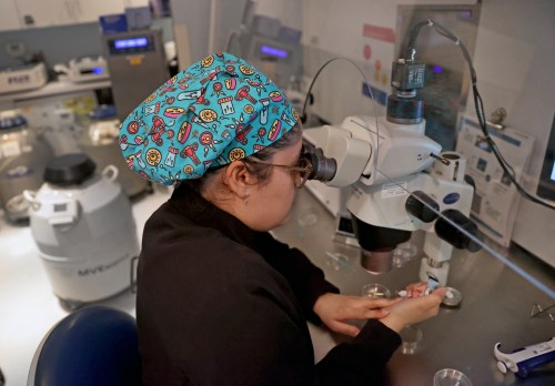 IVF At Brigham & Women’s Hospital
