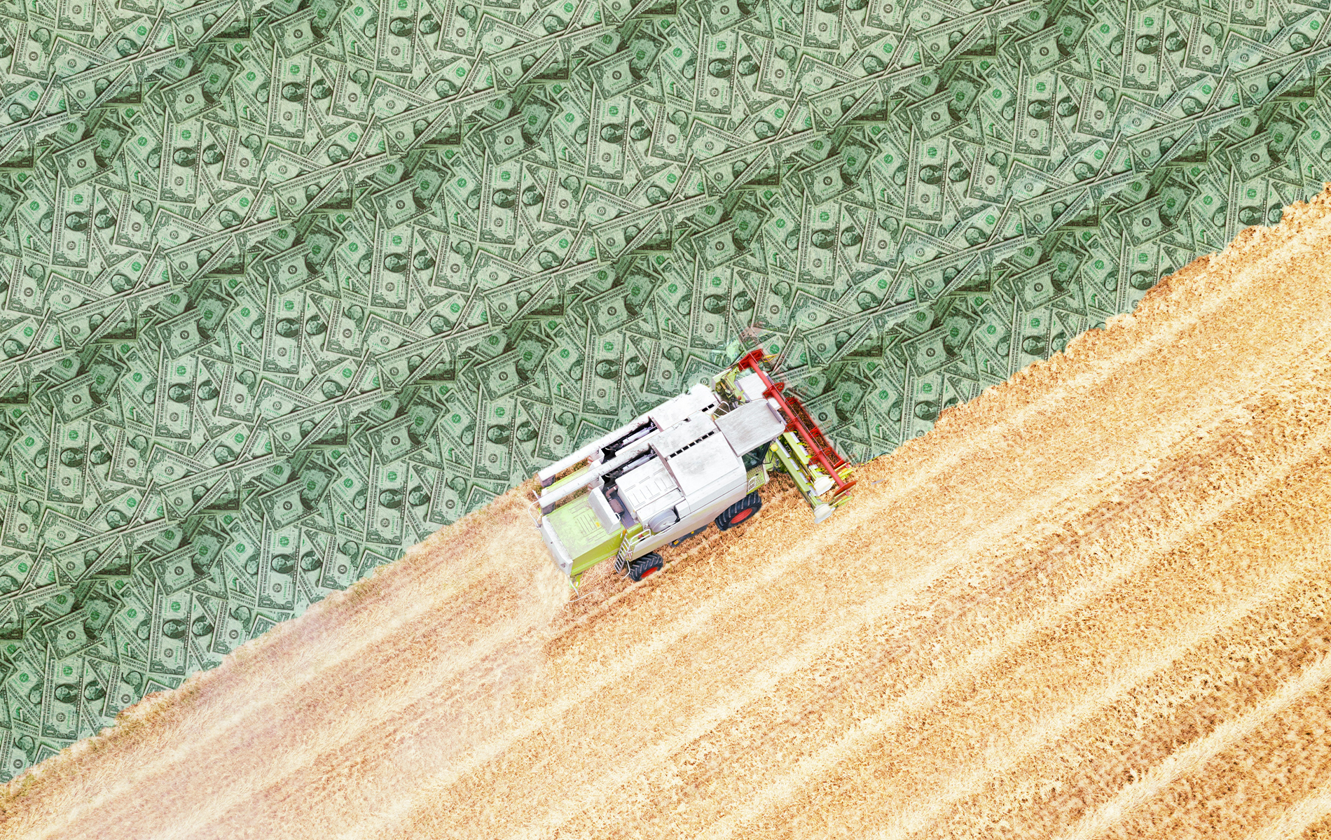 farmbail5