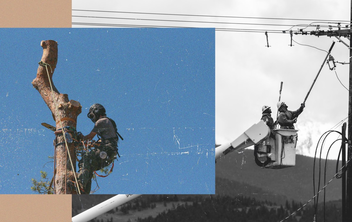 Featured image for post: ‘Not Afraid to Work’