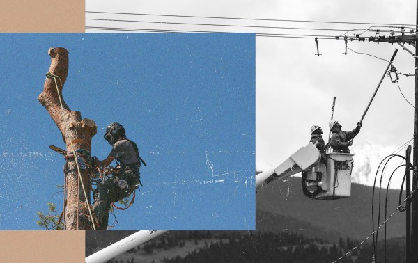 Featured image for post: ‘Not Afraid to Work’