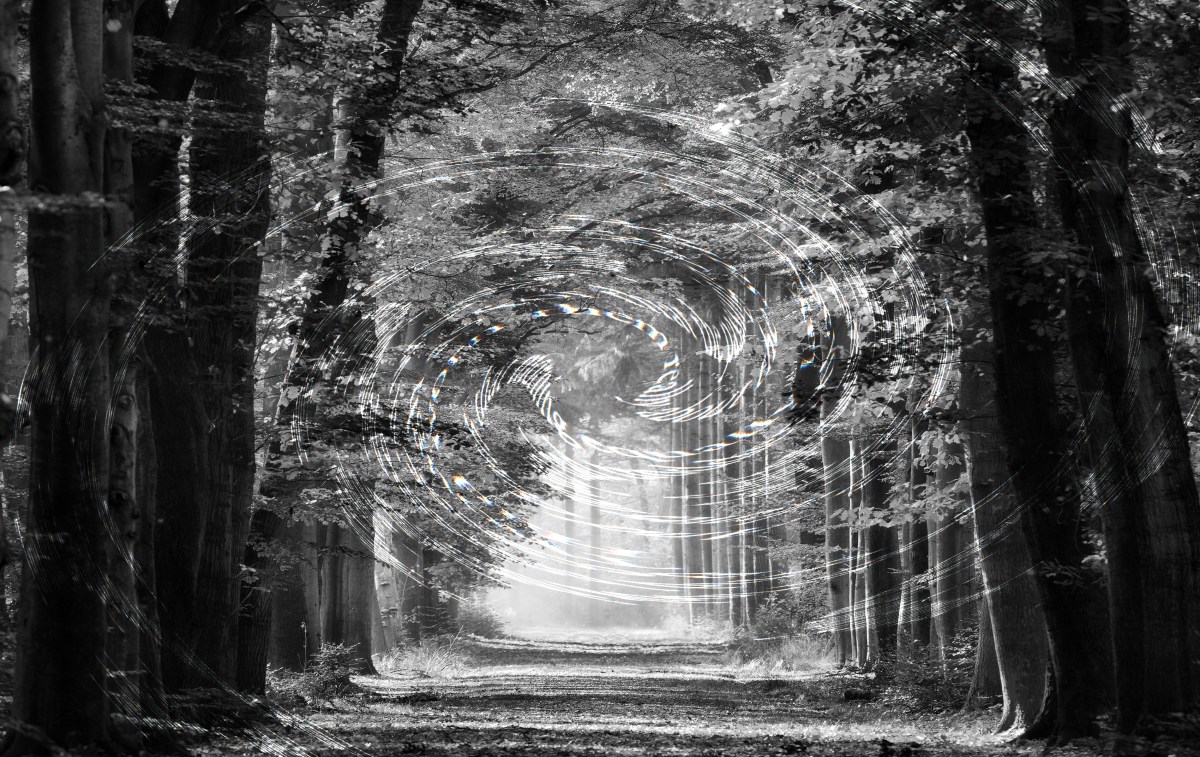 Featured image for post: Can Americans Love Poetry Again?