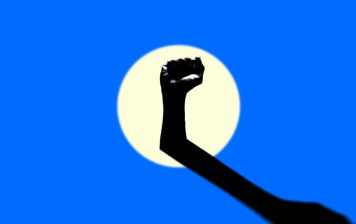 ShadowOf2020